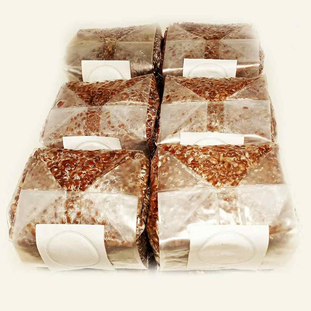 Sterilized Rye Berries Mushroom Substrate Bags for Grain Spawn (6 x 1 lb.)