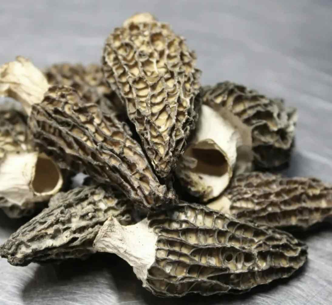 Dried Wild Morel Mushrooms 1 oz.