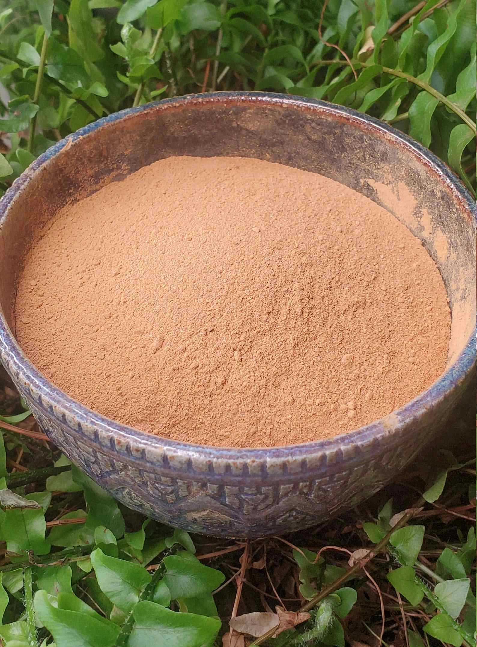 Cordyceps Mushroom Dry Powder from Whole Fruiting Body ORGANIC VEGAN Ethically Harvested Chong Cao Yarsa Gumba Adaptogen for immune health