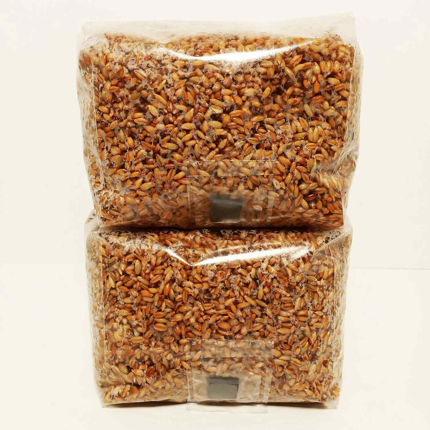 Sterilized Rye Berries Mushroom Substrate in Unicorn Bags with Self Healing Injection Ports for Grain Spawn (2 x 3 lb.)
