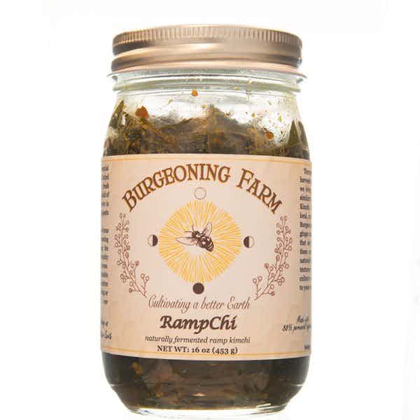 RampChi: Naturally Fermented Ramp Kimchi
