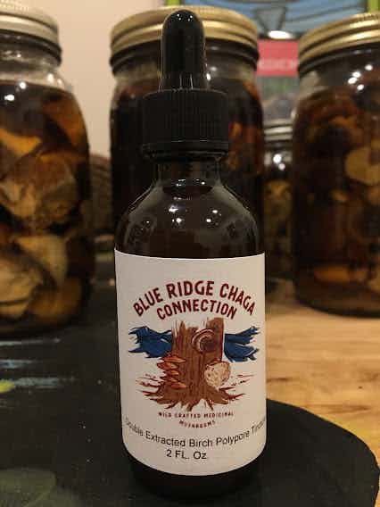 Birch Polypore 2oz double extracted tincture