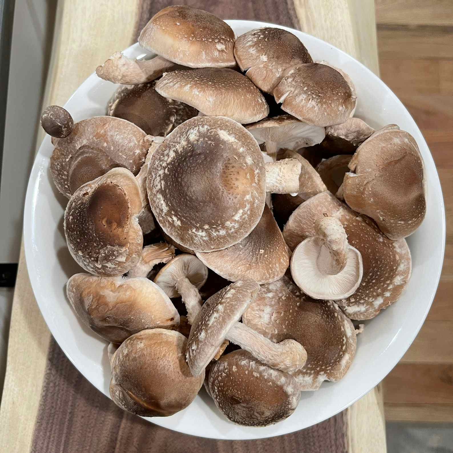 Dehydrated and freshly harvested Shiitake mushrooms-all organic ingredients/substrates
