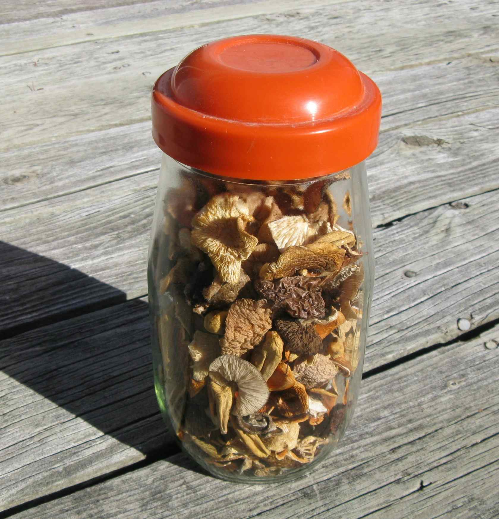 Fall Blend Wild Dried Mushrooms