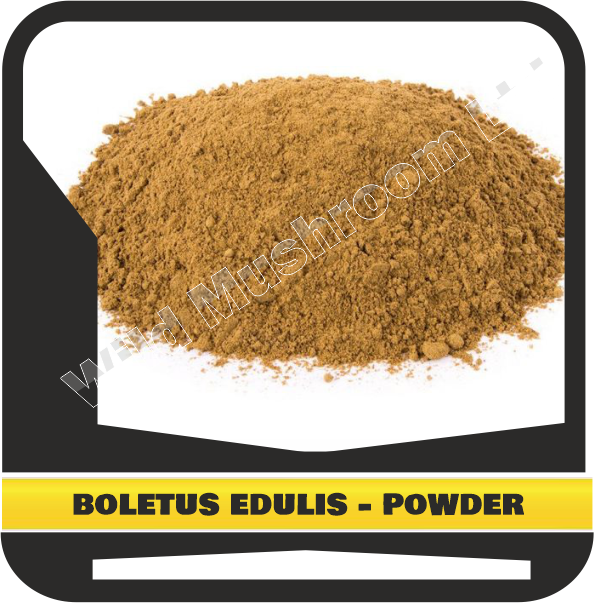 Dried Boletus edulis (porcini) - powder