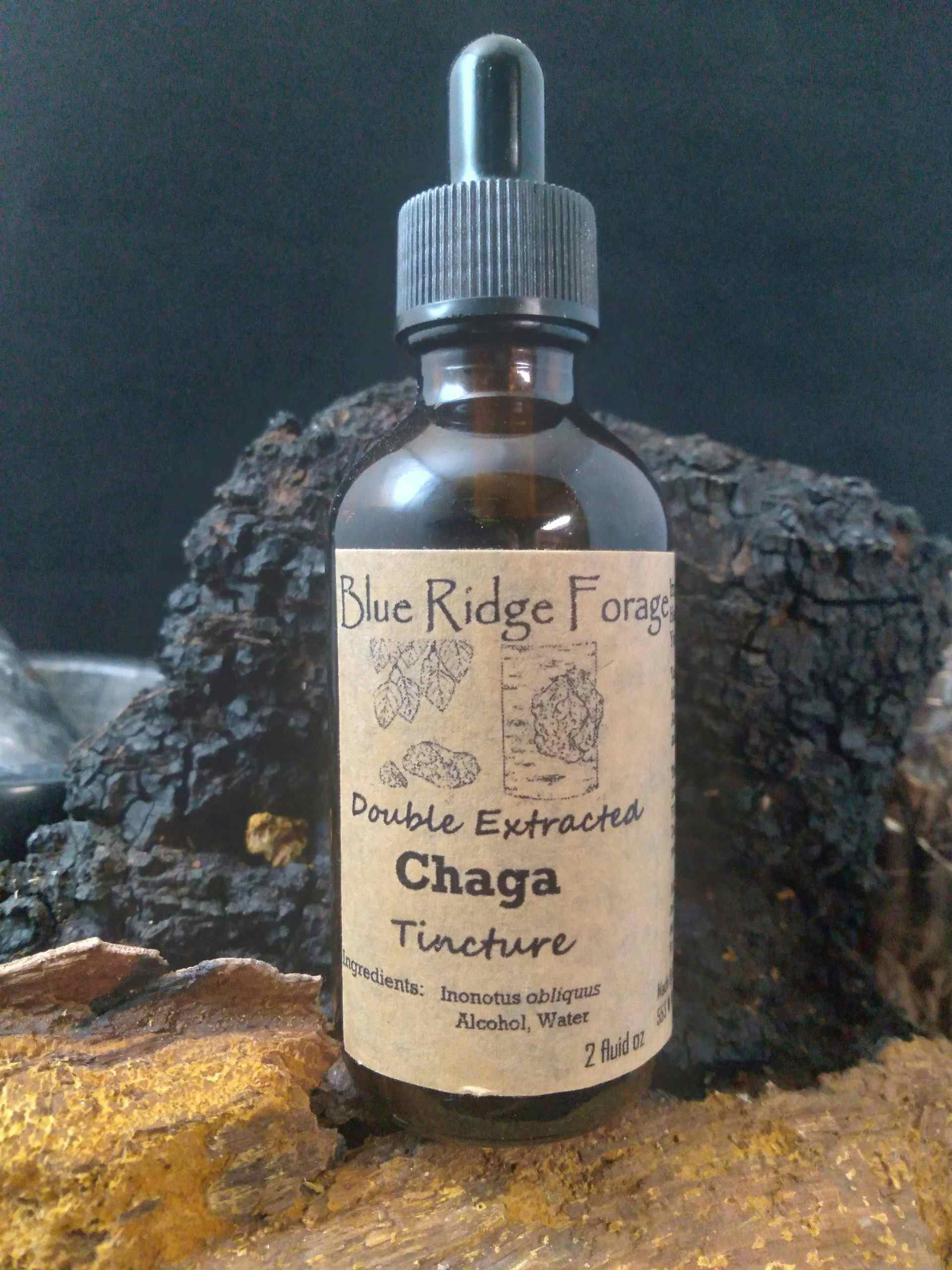 2 oz Double Extracted Chaga Tincture