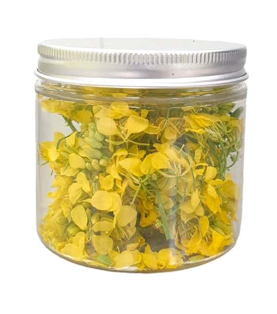 Spicy mustard flower | Savoury edible flower | Yellow edible flower