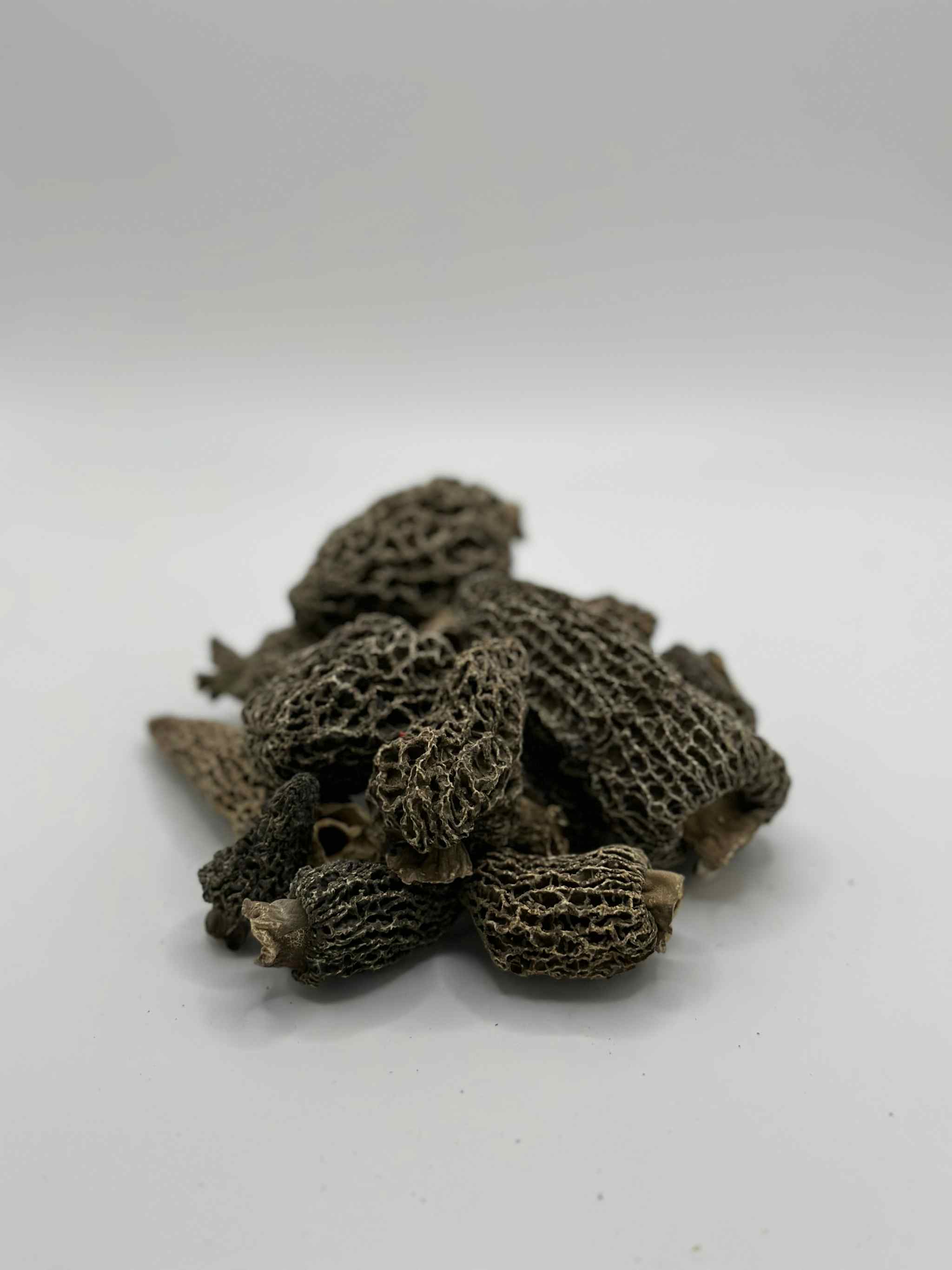 Dried Wild Gray Morel Mushrooms - 16 oz. (1 lb)