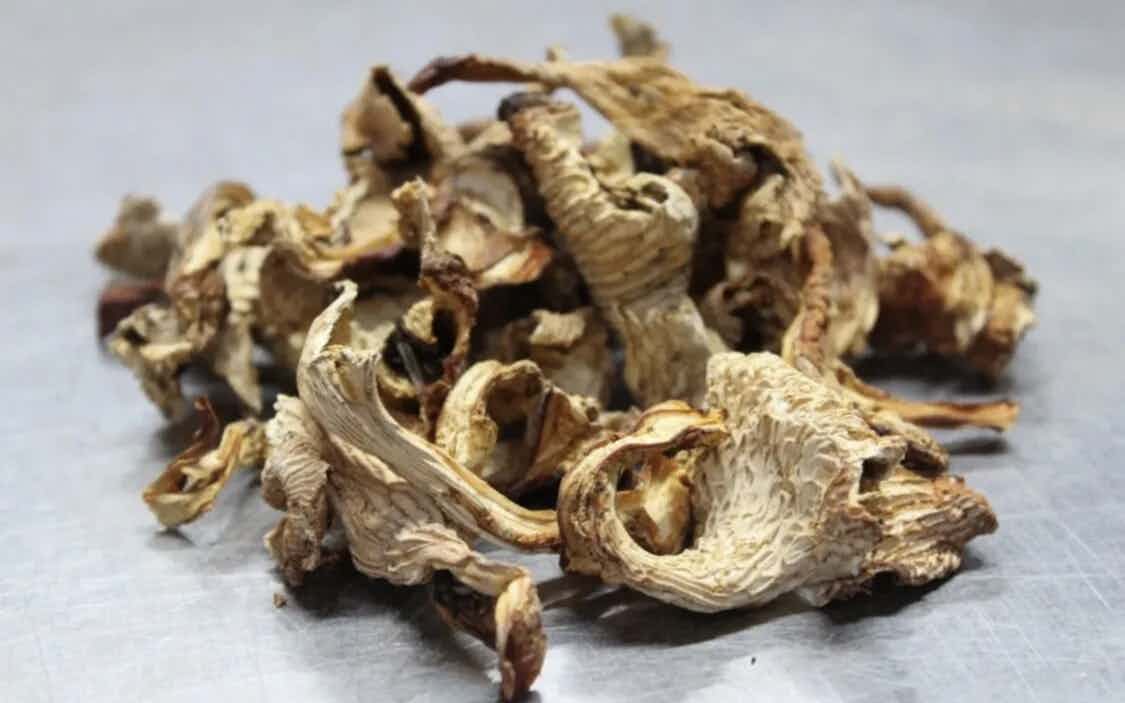 Dried Wild Chanterelle Mushrooms -  16 oz (1 lb)