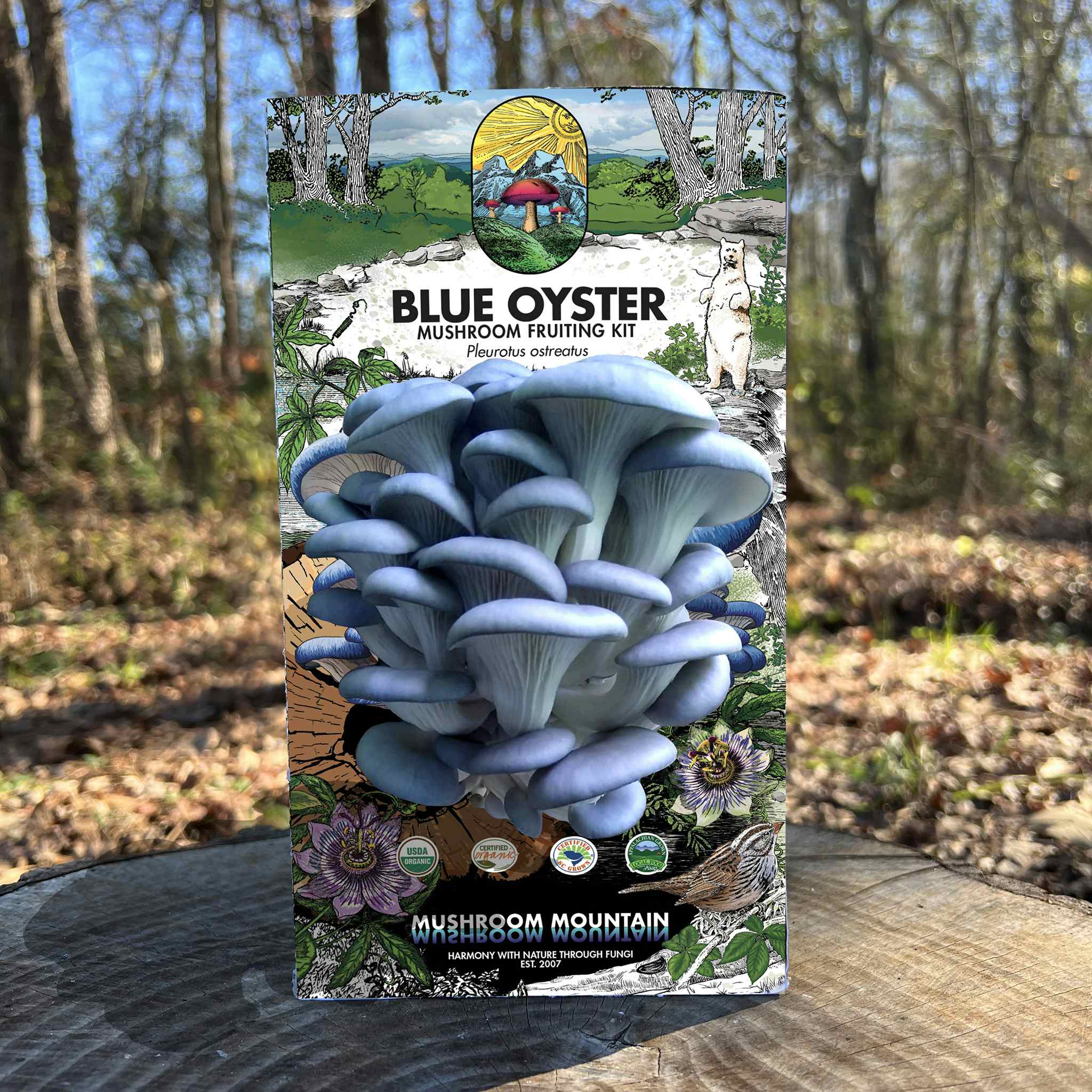 Blue Oyster Mushroom Fruiting Kit - (Pleurotus sp.)