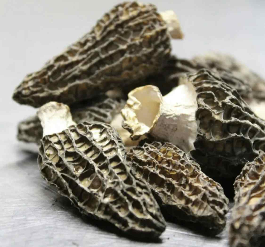 Dried Wild Morel Mushrooms 16 oz. (1 lb)