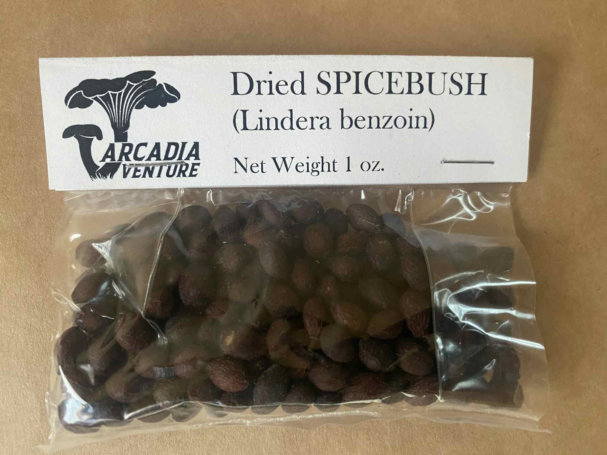 Dried Spicebush, 1 oz.