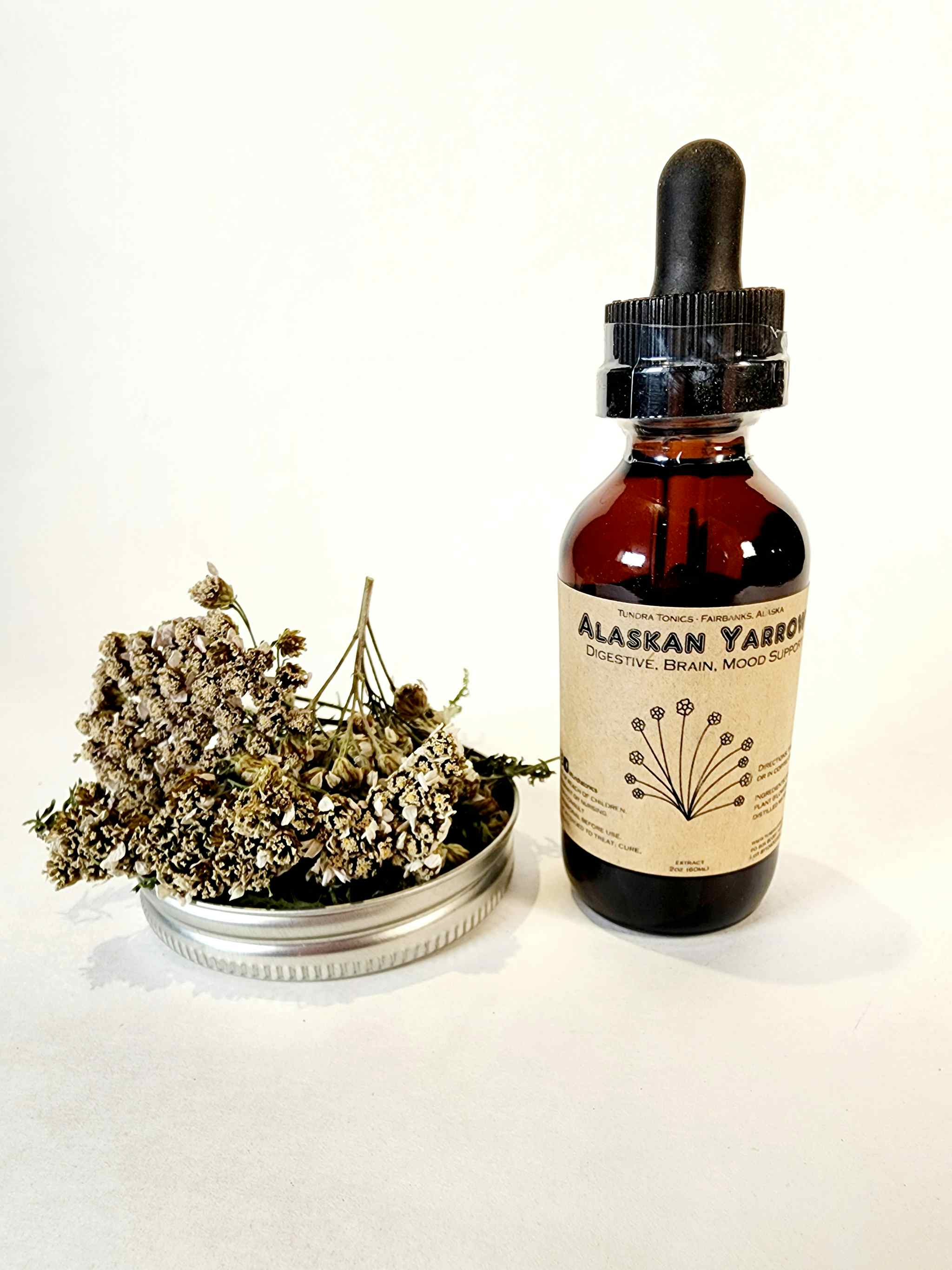 Wild Alaskan Yarrow Plant - 2oz Double Extracted Alcohol Based Medicinal Uses, Basic Properties