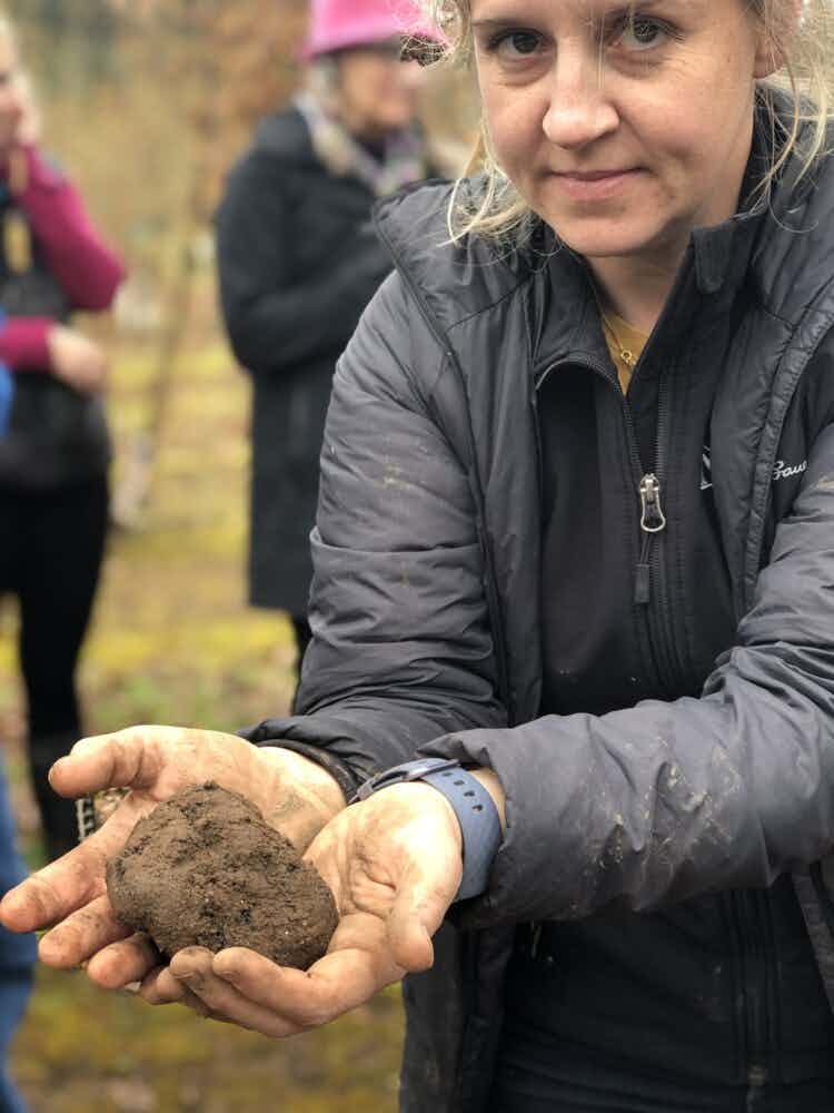 Oregon Grown Perigord Truffles (Tuber melanosporum)