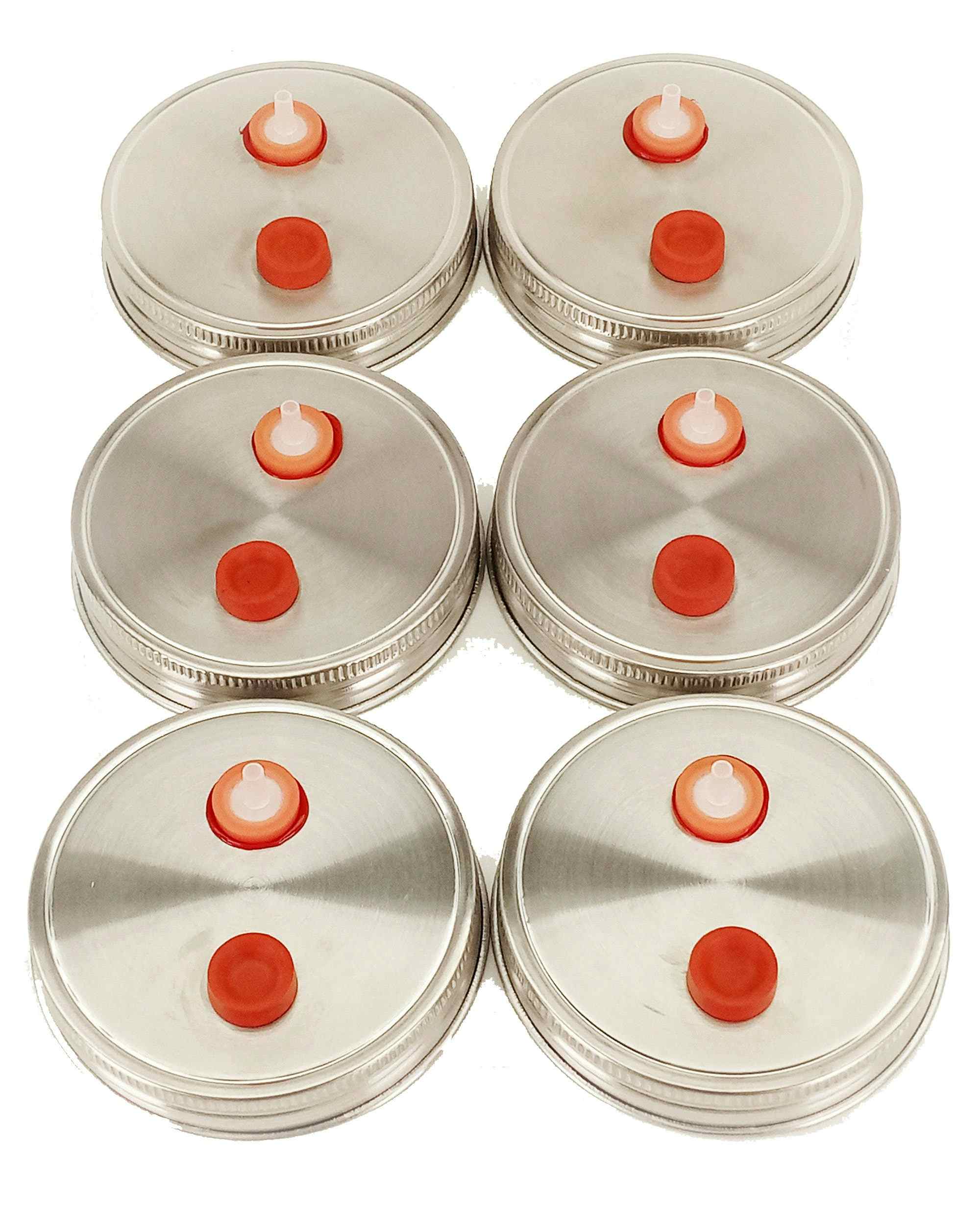 6 Stainless Steel Liquid Culture Jar Lids - AirPort Wide Mouth Metal Rust Proof