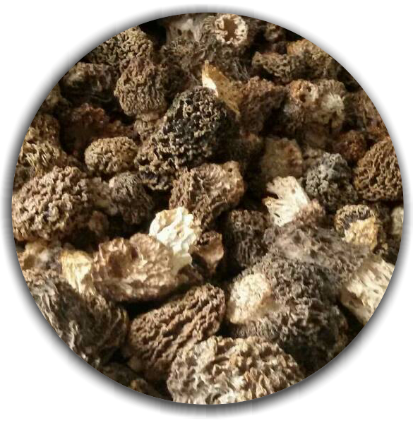 Dried Morchella steppicola (Morells mushroom) - First grade