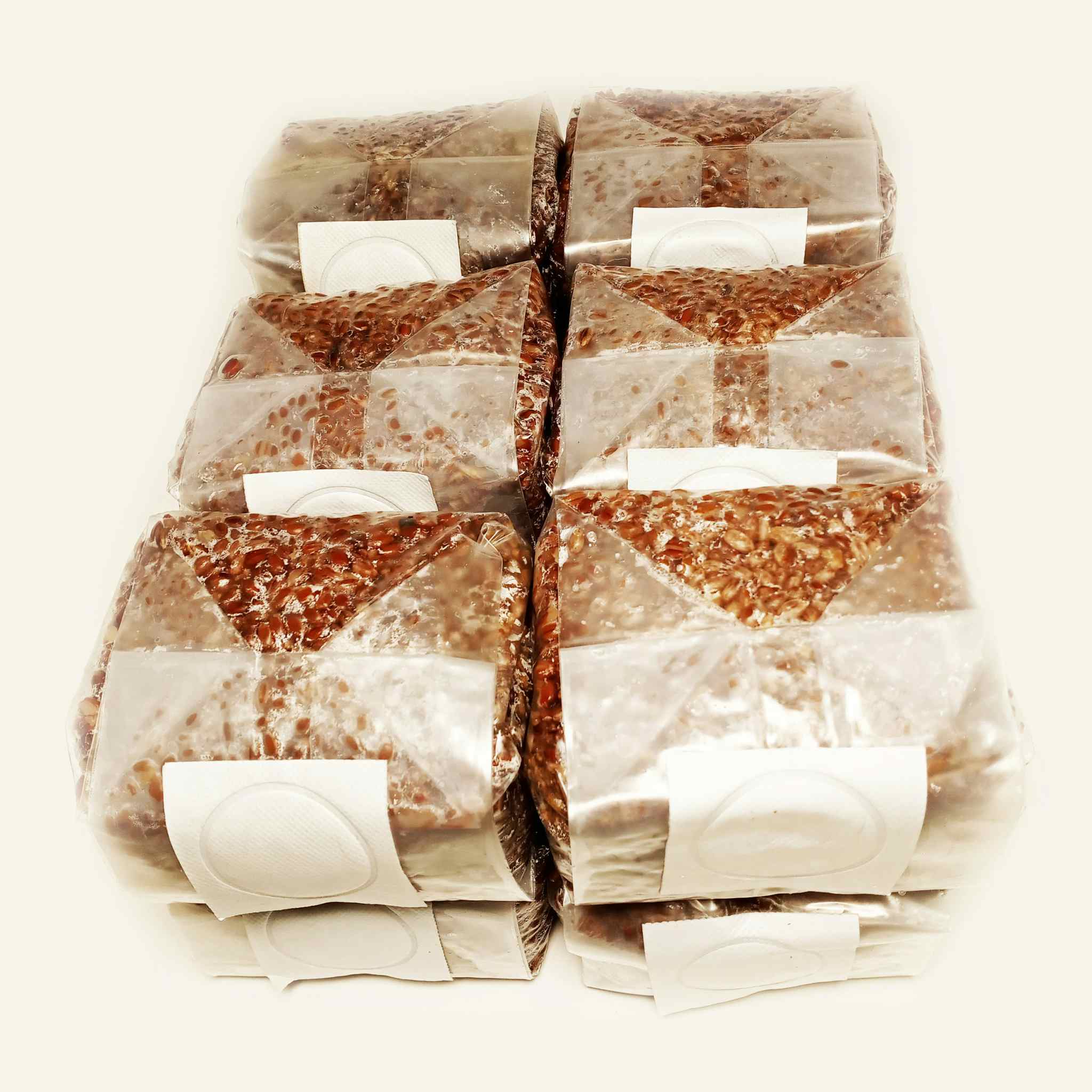 Sterilized Rye Berries Mushroom Substrate Bags for Grain Spawn (12 x 1 lb.)