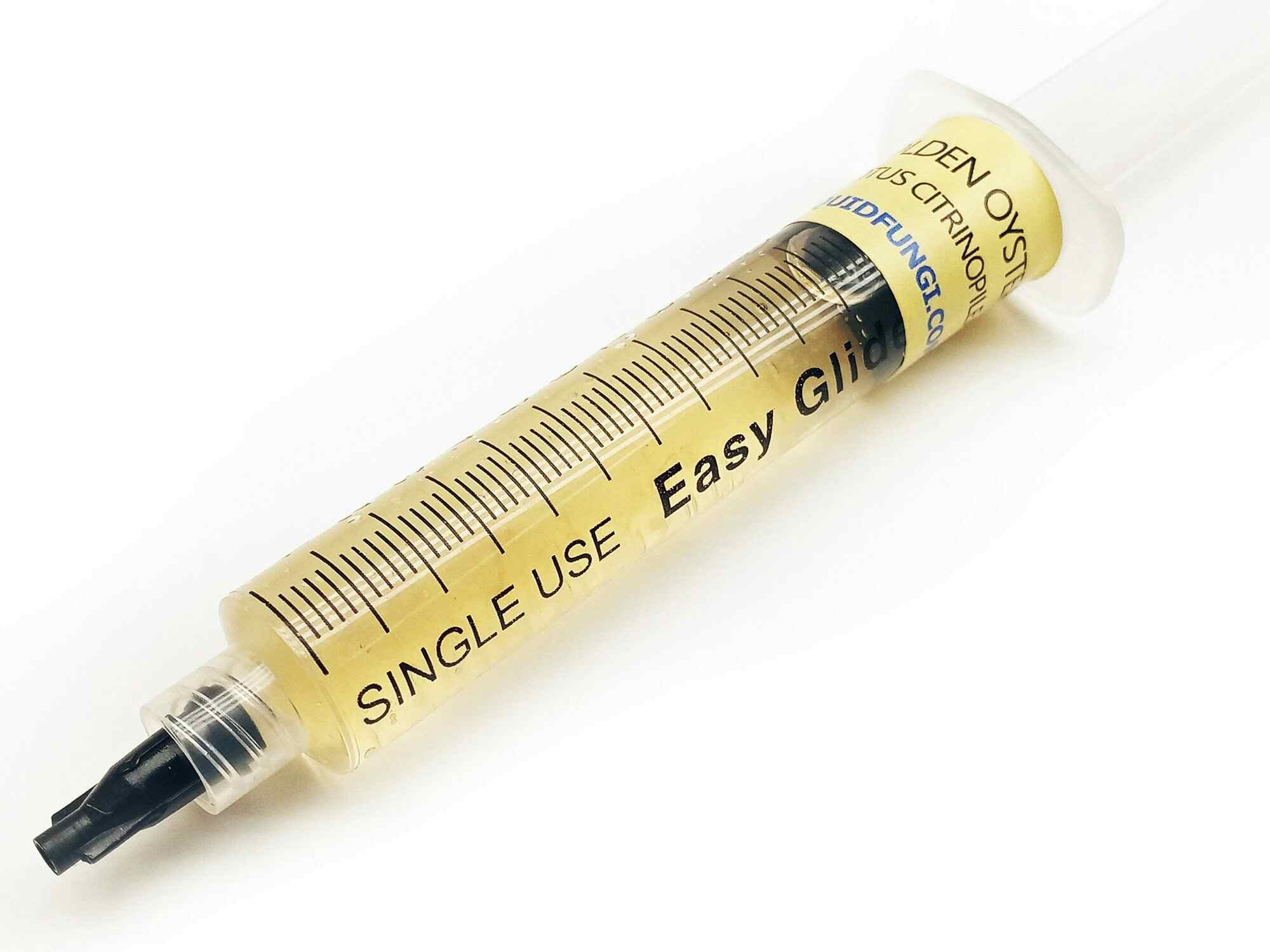Yellow Golden Oyster Liquid Culture Syringe