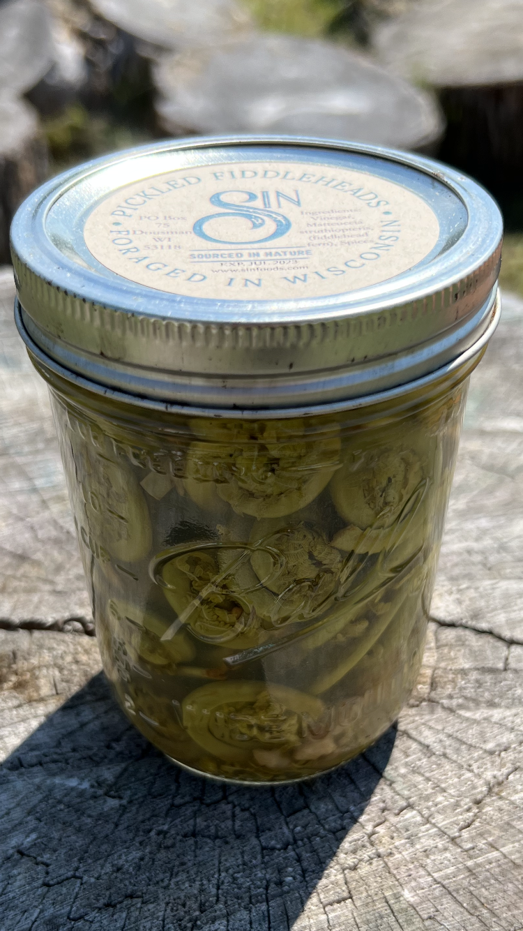 Pickled Fiddleheads