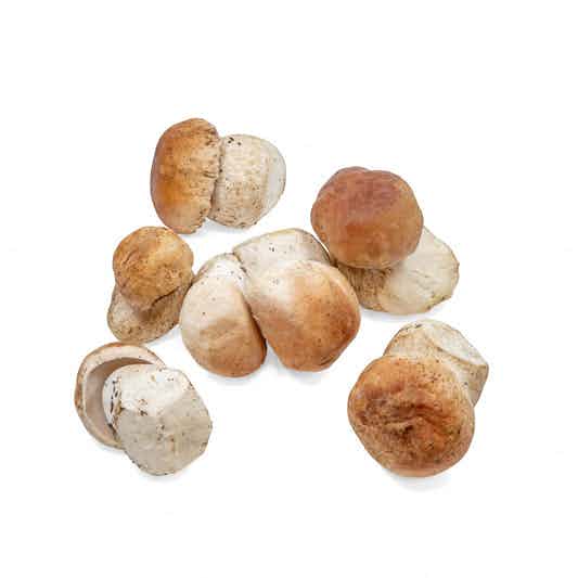 Fresh #1 Porcini Mushrooms