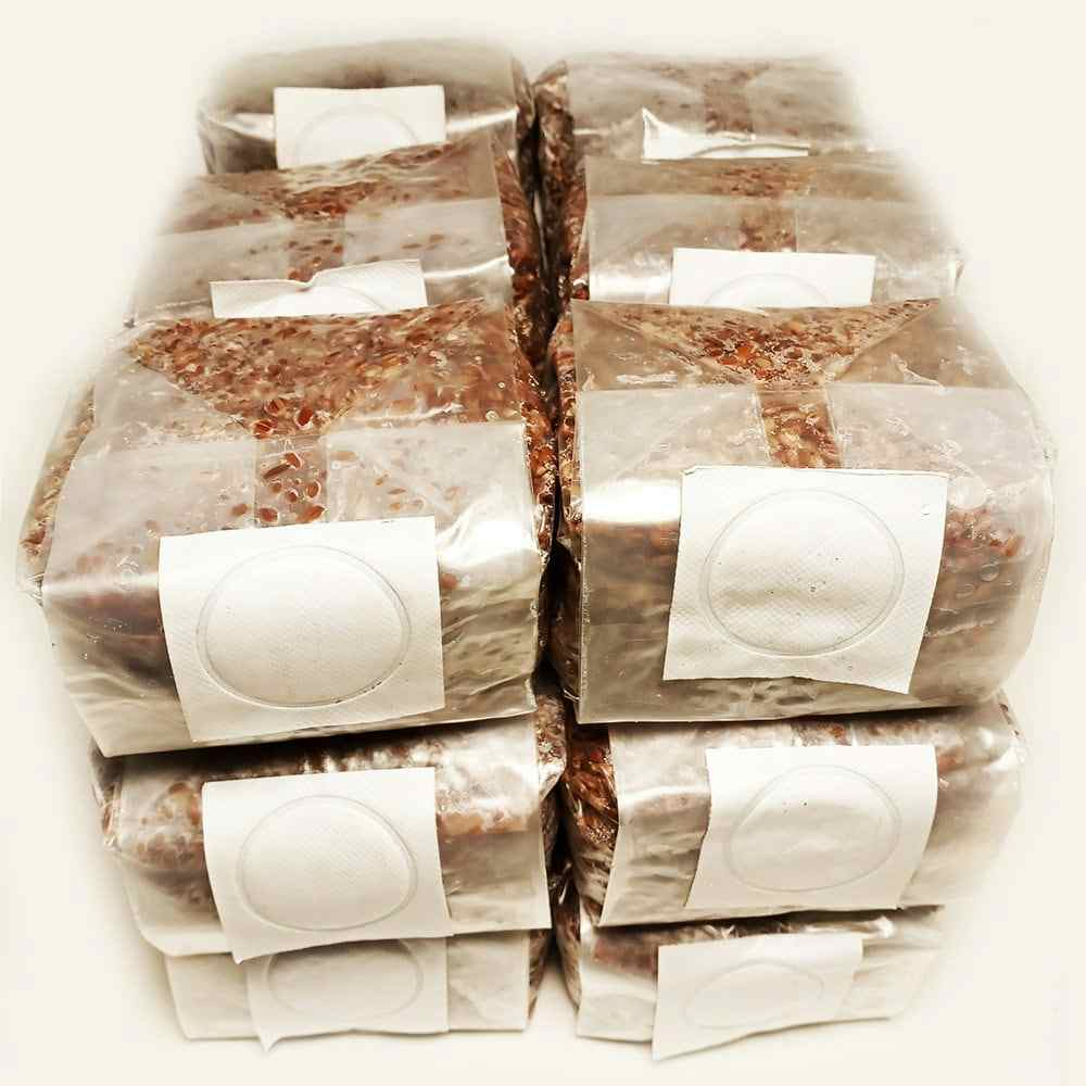 Sterilized Rye Berries Mushroom Substrate Bags for Grain Spawn (18 x 1 lb.)