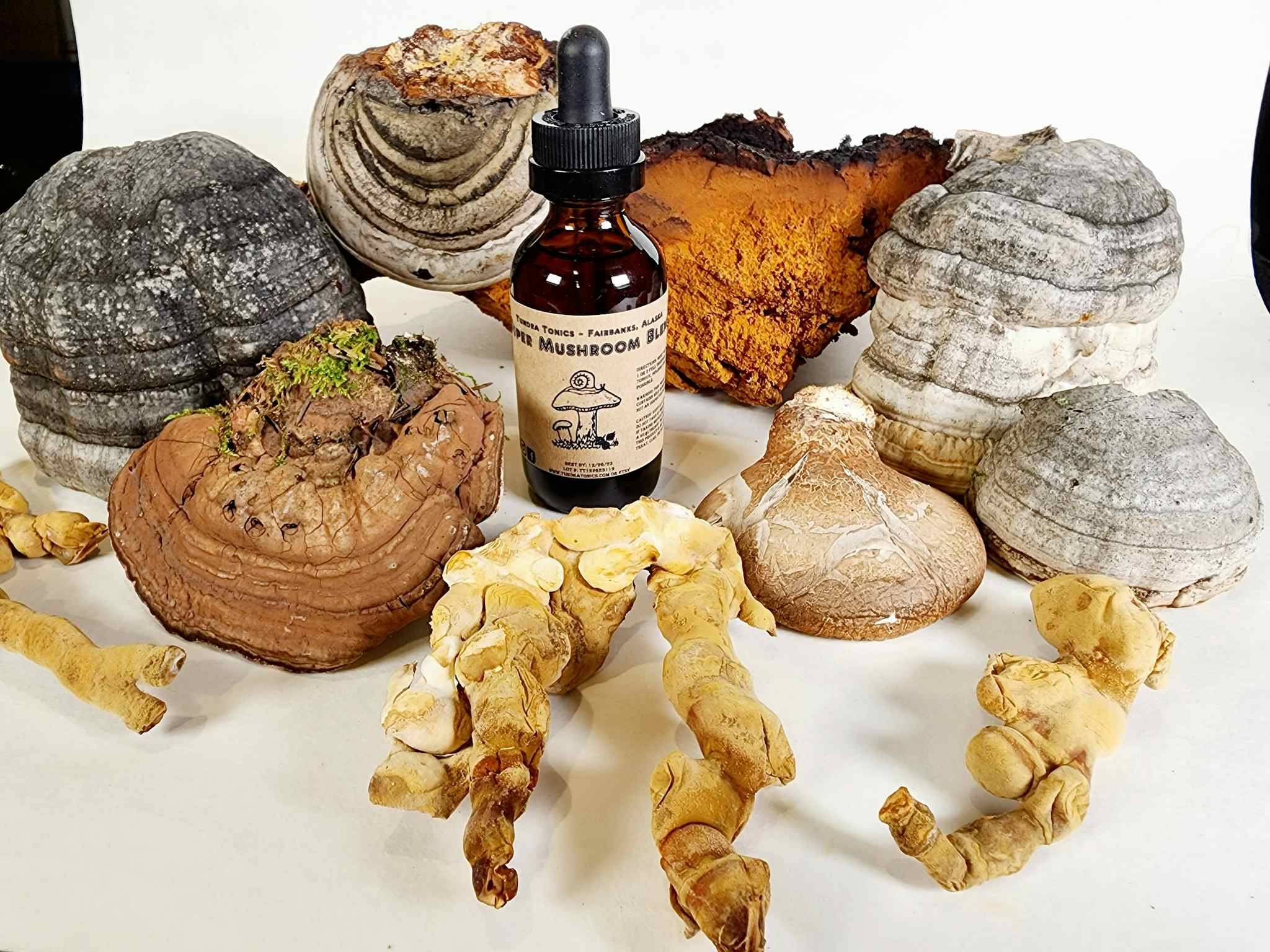 12 Alaskan Mushroom Blend - Double Extracted Chaga, Reishi, Lions' Mane, Cordyceps, King Bolete, 