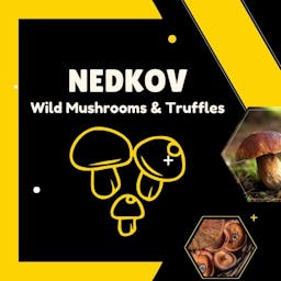 Wild Mushroom Ltd