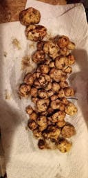 White truffle harvest
