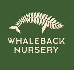 Whaleback Nursery