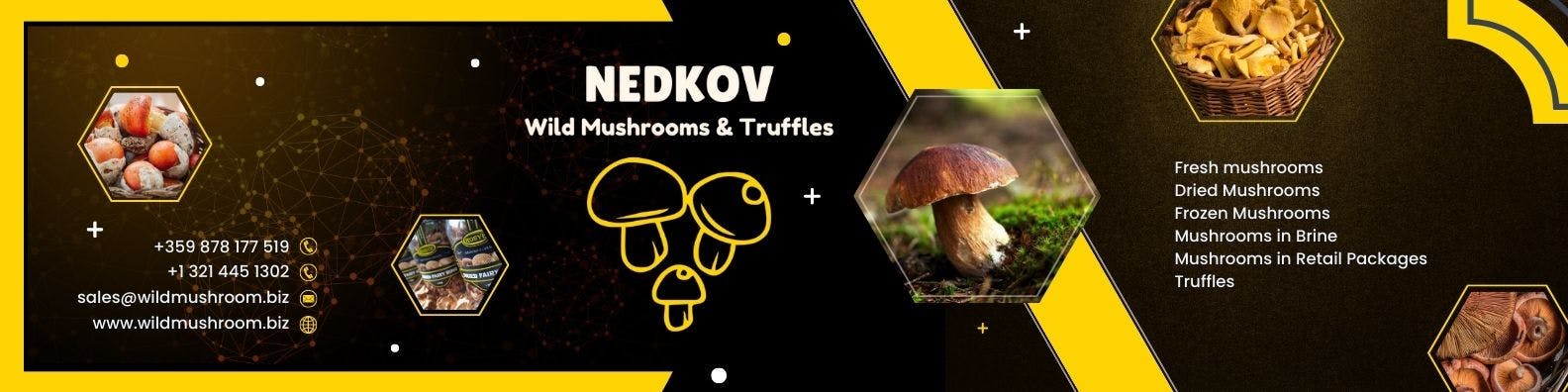 Wild Mushroom Ltd's banner