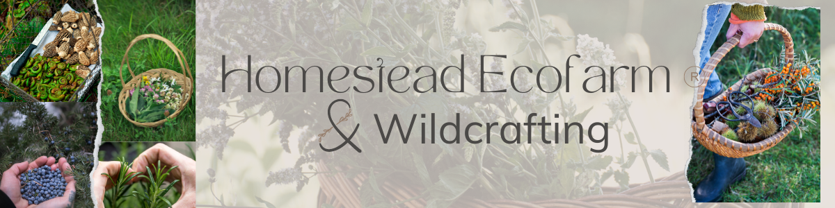Homestead Ecofarm & Wildcrafting's banner