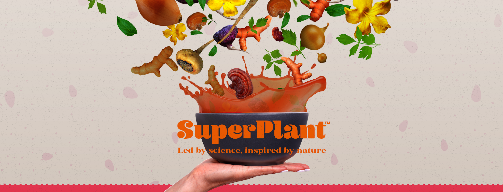 SuperPlant Kitchen's banner