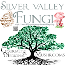 Silver Valley Fungi
