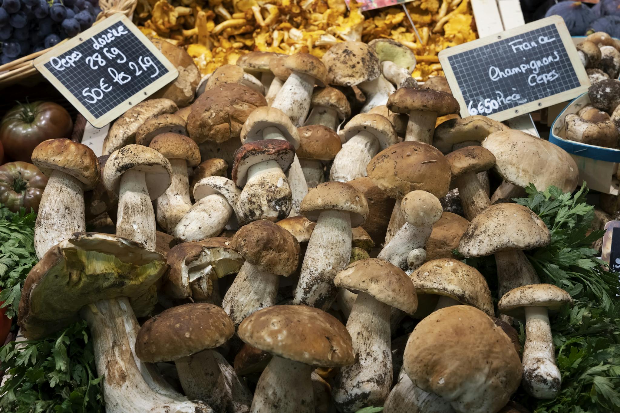 Porcini Mushrooms being sold in a market in France