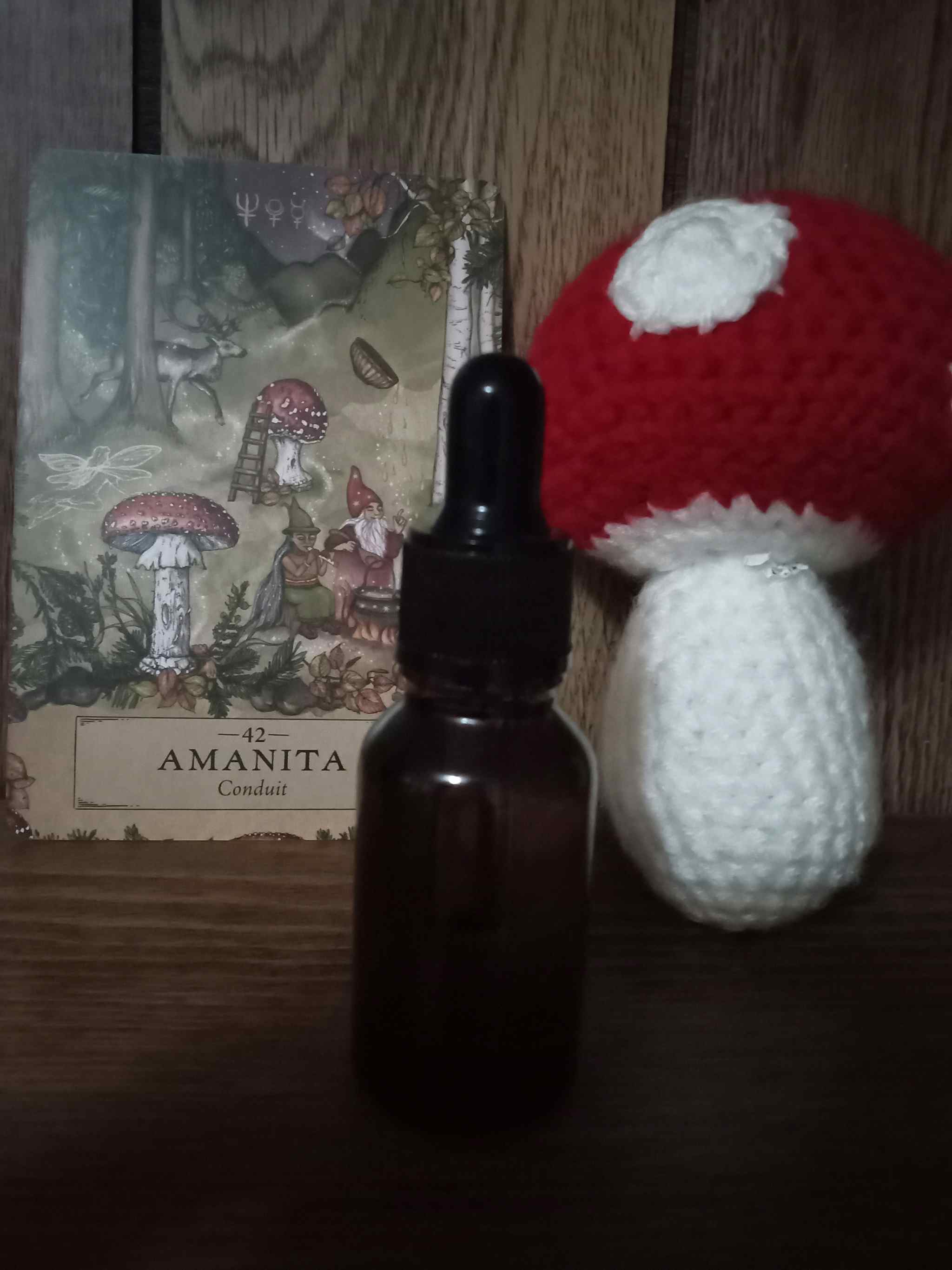 amanita muscaria infused oil 1/2 oz