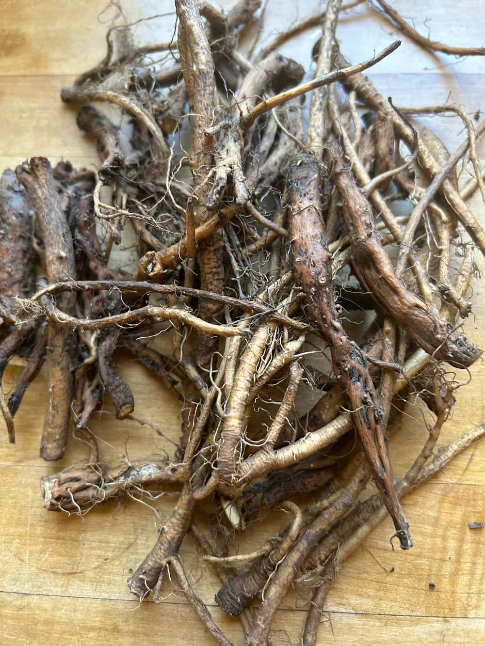 Wildcrafted Dandelion Root Tincture - Buy Online | Foraged