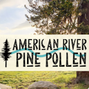 American River Pine Pollen