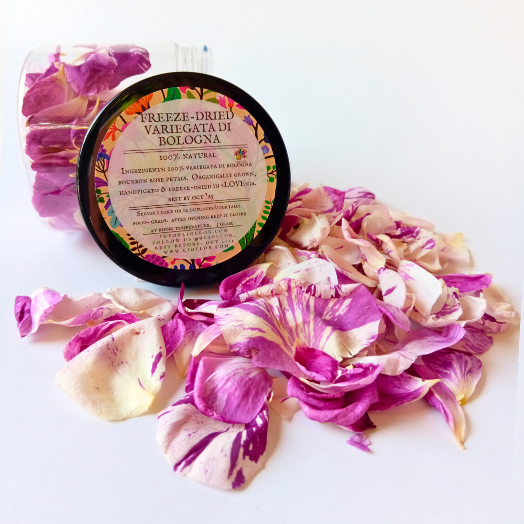 Bourbon Rose Petals Variegata di Bologna Culinary Rose petals for rose tea, rose water, rose syrup, rose cordial, gift for mom, gift for her, gift for home bakers