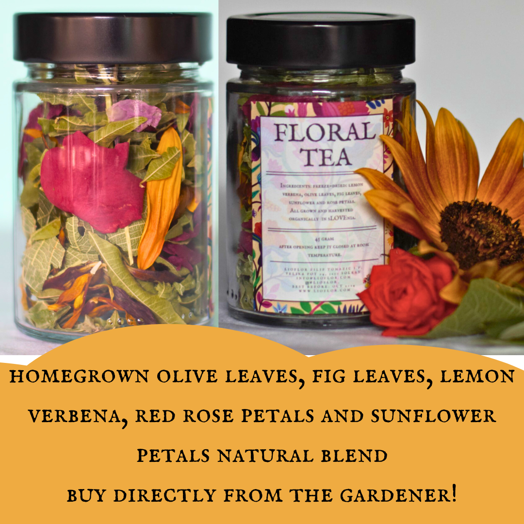 Homegrown Handpicked Gift pack Tea Blend - Buy from the grower | Herbal Infusion Detox Tea with edible flowers Teacher's day gift Mother's day gift