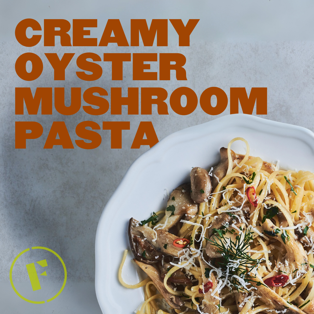 creamy oyster mushroom pasta