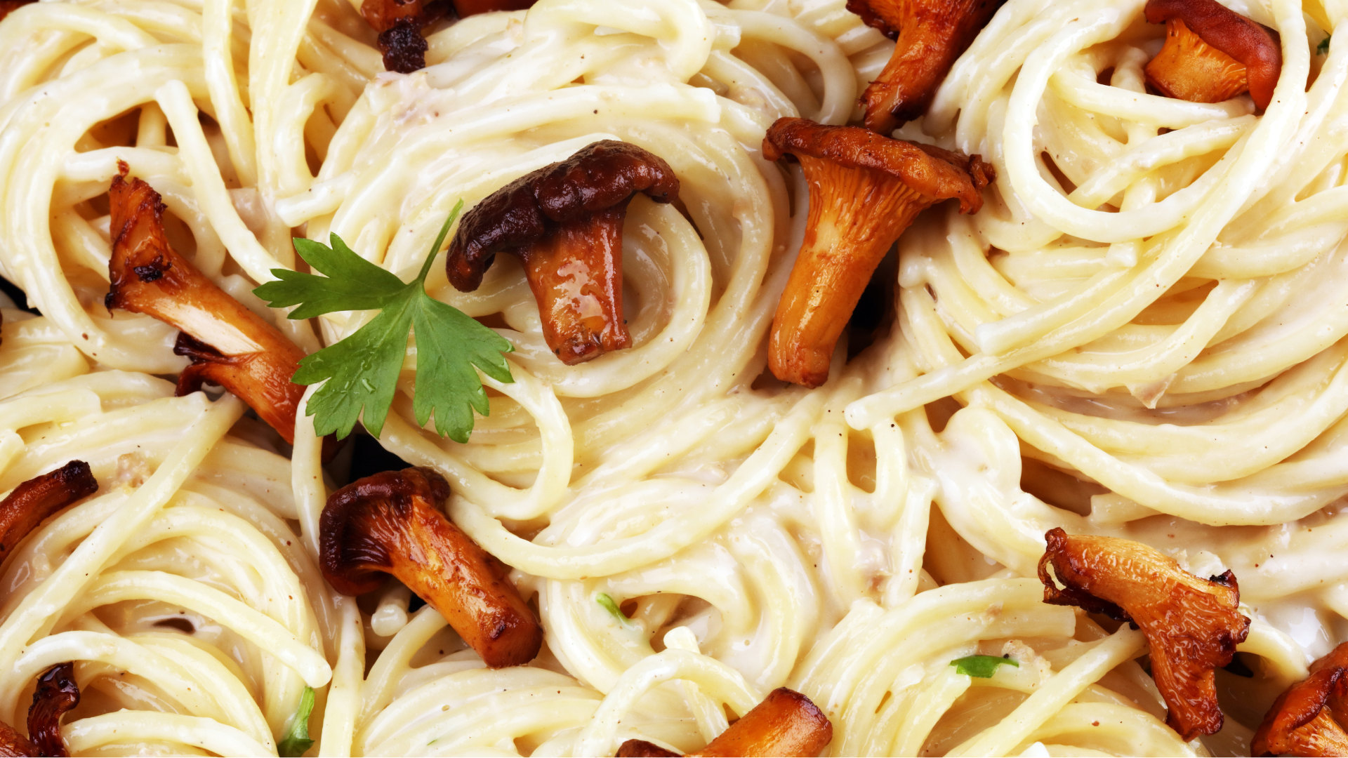 Creamy Chanterelle Mushroom Pasta Recipe
