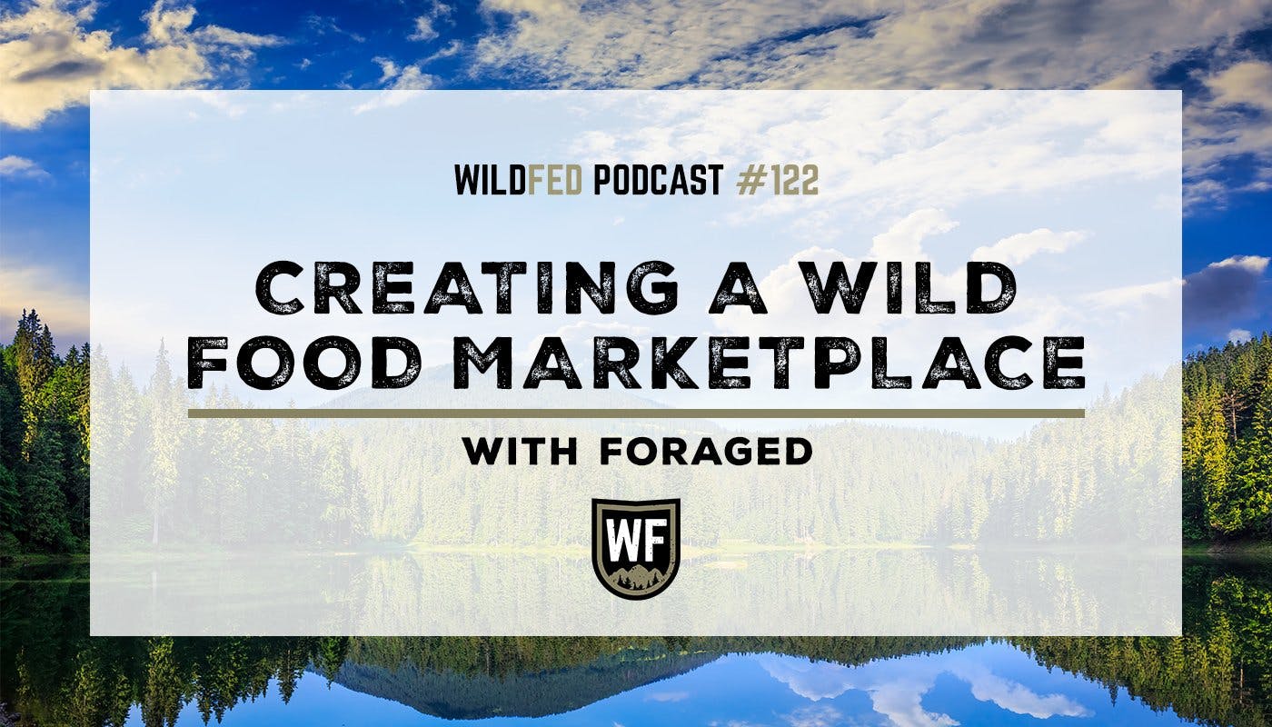 Creating a Wild Food Marketplace with Foraged — WildFed Podcast #122
