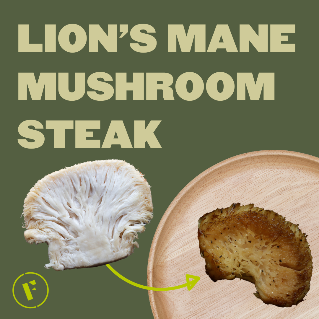 Tender Lion's Mane Mushrooms Steak