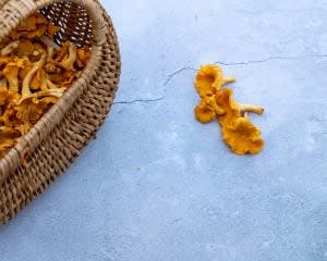 Tips and Techniques on How to Find Golden Chanterelles