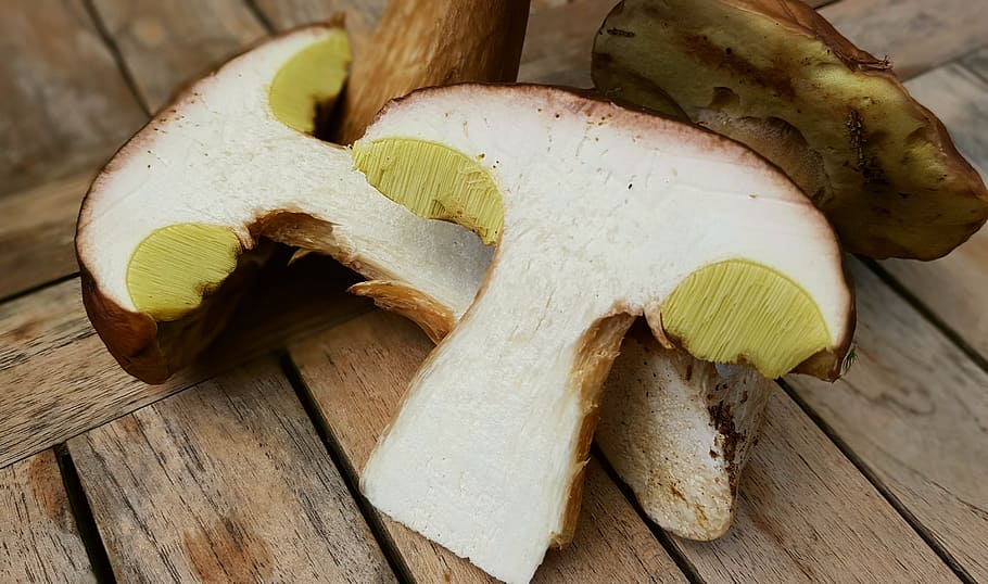 Unlock the Rich Flavors of Porcini Mushrooms: How to Use Porcini Mushrooms