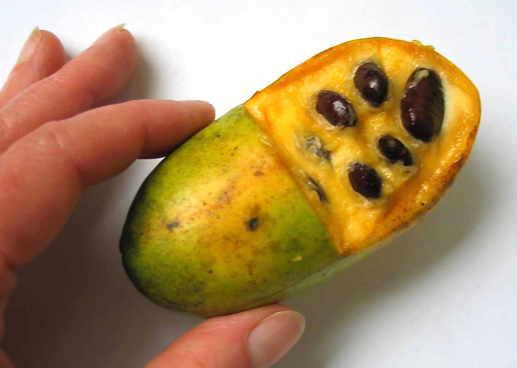 Pawsitively Delicious: Unleashing the Pawpaw Fruit-astic Flavors!