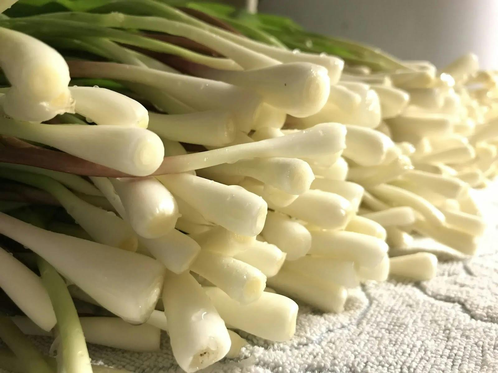 What Are Ramps Vegetable? Exploring the Origins and Culinary Delights of This Wild Plant