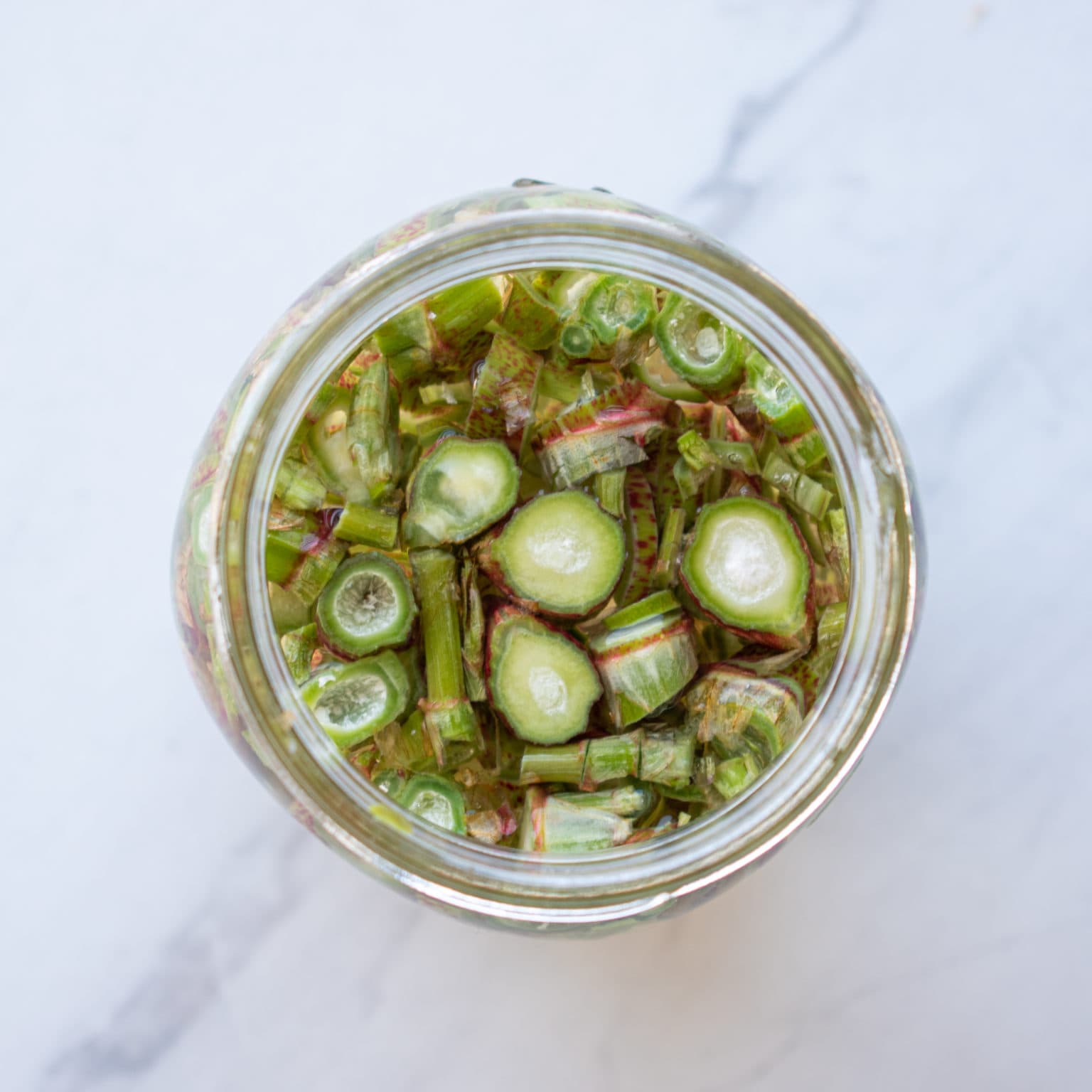 Add chopped japanese knotweed to vinegar and refrigerate