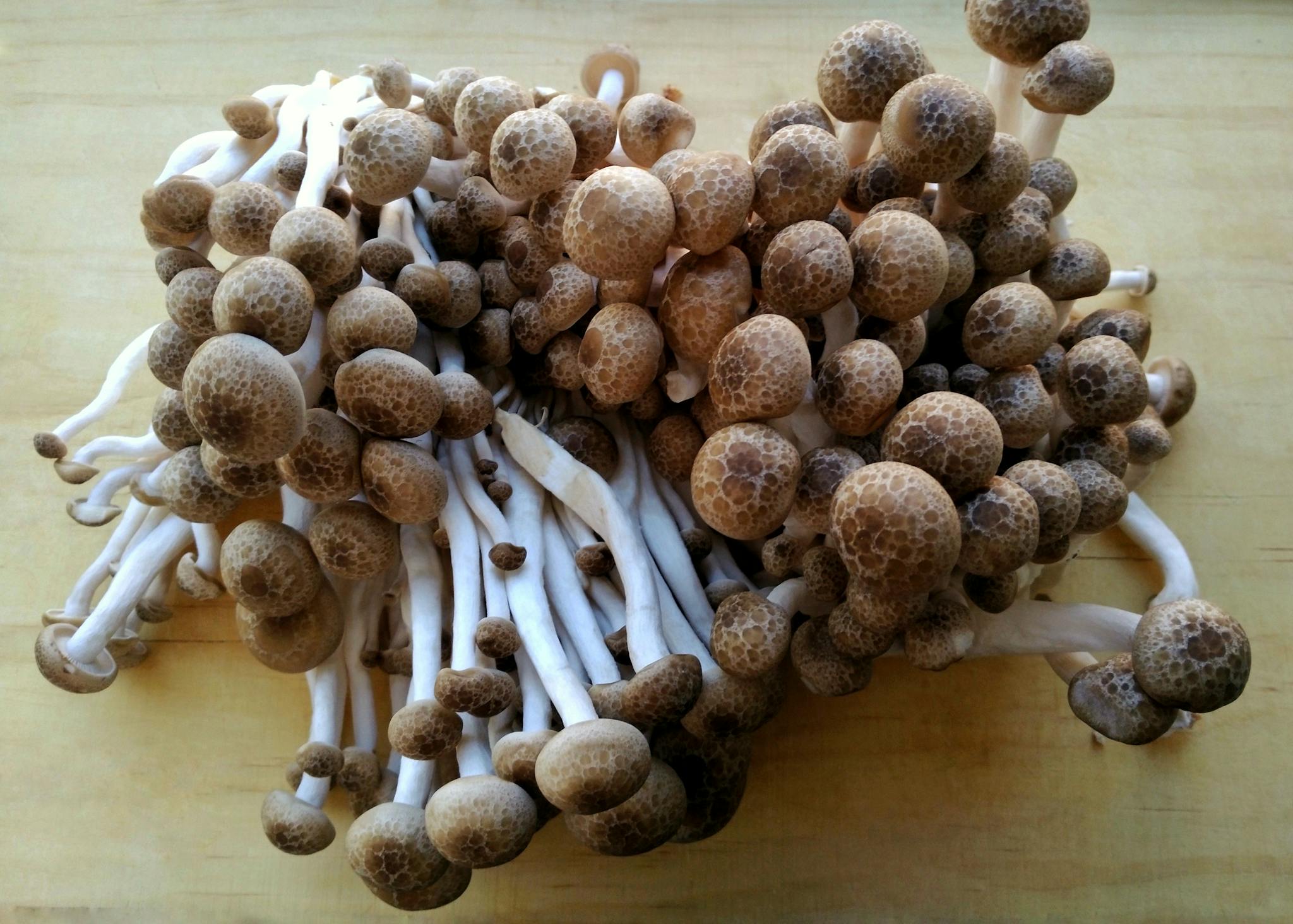 Exploring Culinary Options: Can You Eat Beech Mushrooms Raw?