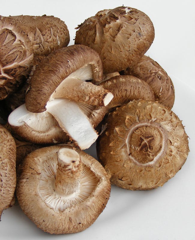 Finding Wild Mushrooms for Sale